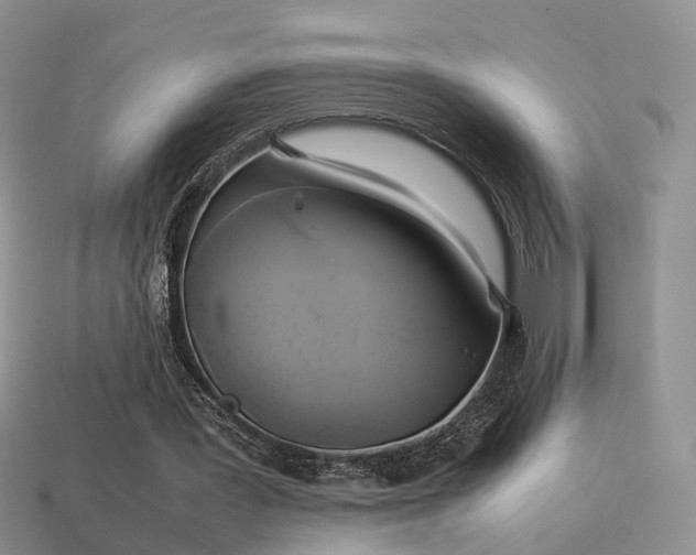 X0000114150387200910151549
