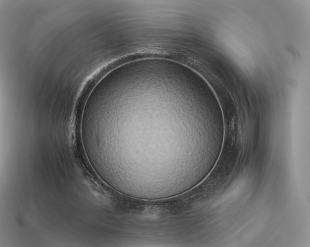 X0000114150388200910151549