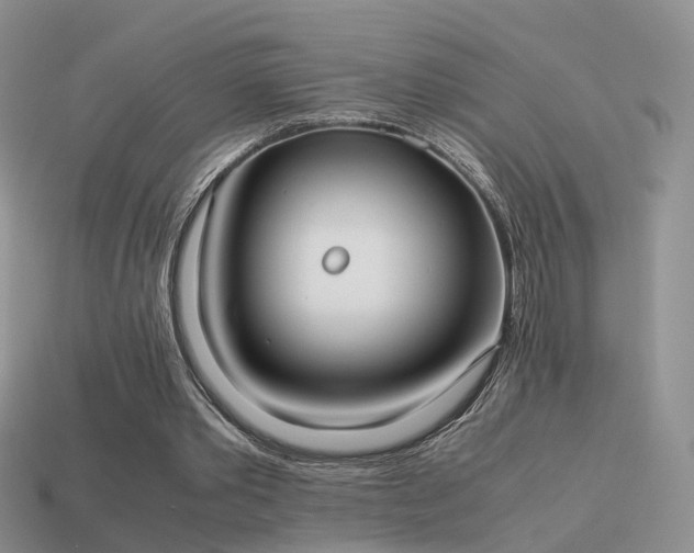 X0000114150389200910151549