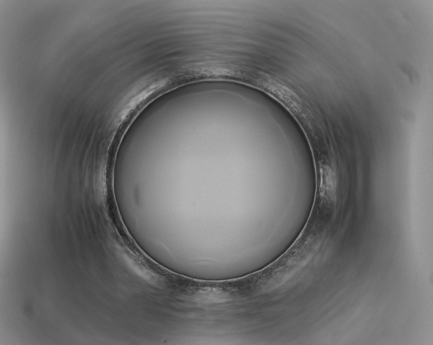 X0000114150390200910151549