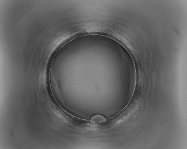 X0000114150391200910151549