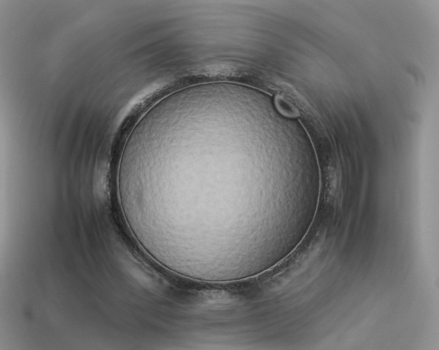 X0000114150392200910151549