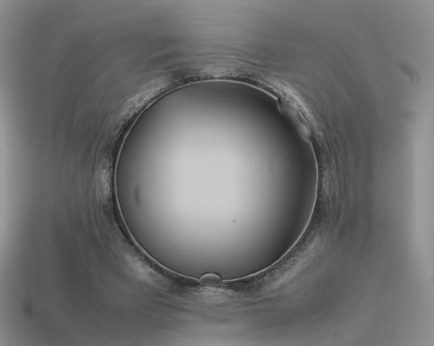 X0000114150393200910151549