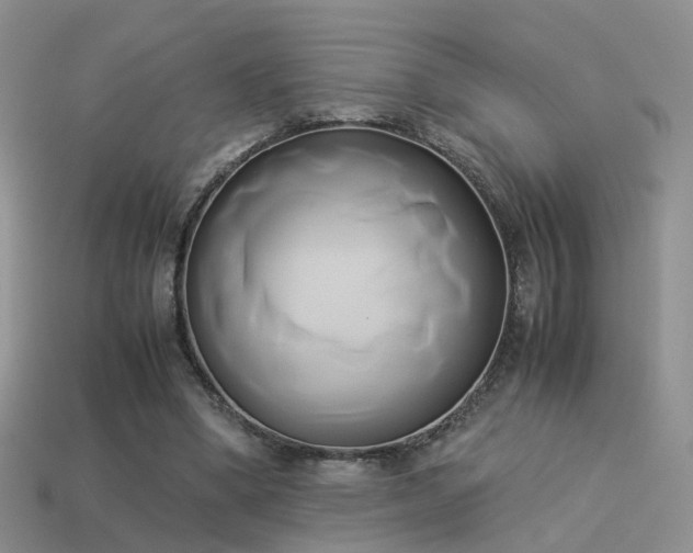 X0000114150394200910151549