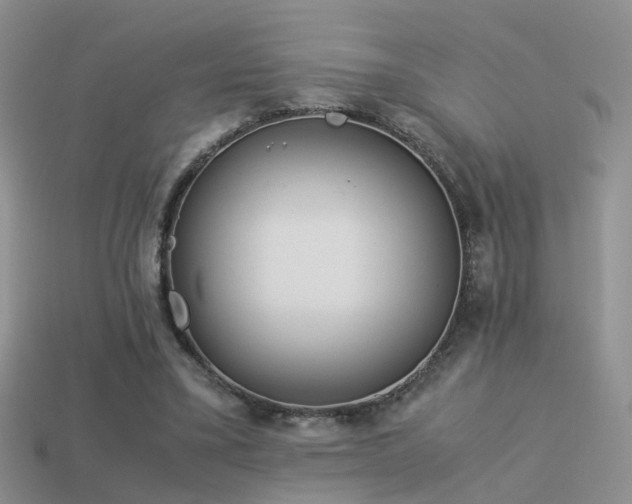 X0000114150395200910151549