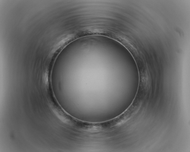 X0000114150398200910151549
