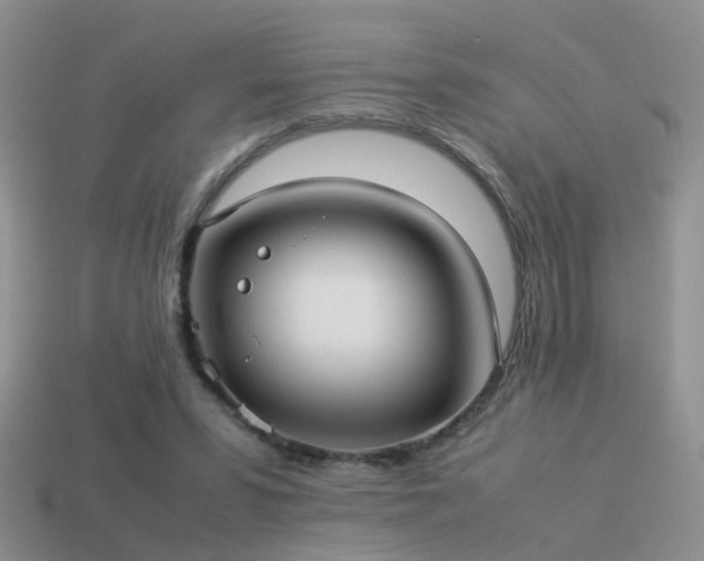 X0000114150399200910151549