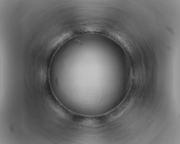 X0000114150402200910151549