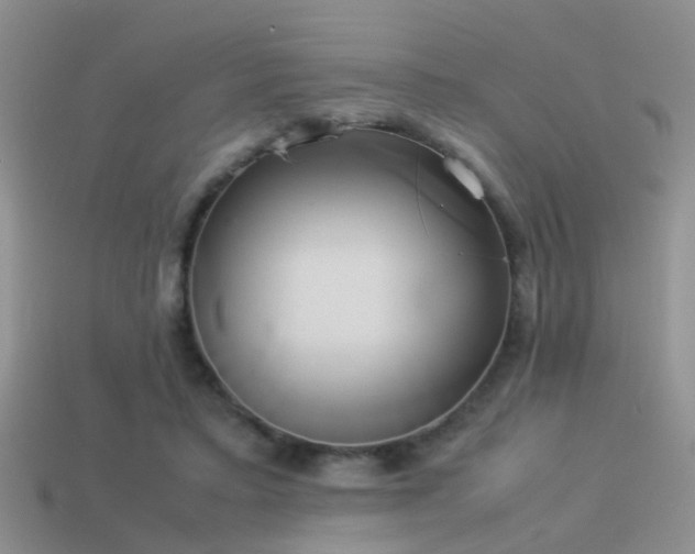 X0000114150403200910151548