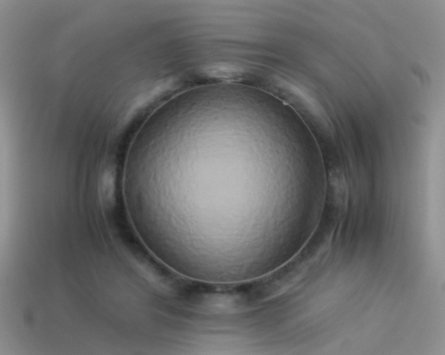 X0000114150404200910151548