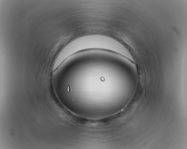 X0000114150407200910151548