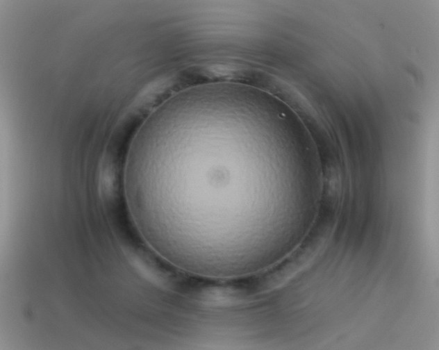 X0000114150408200910151548