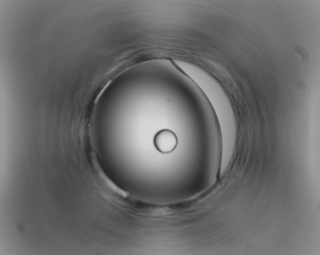 X0000114150409200910151548