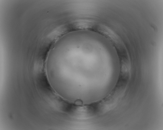 X0000114150411200910151548