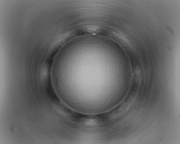 X0000114150412200910151548