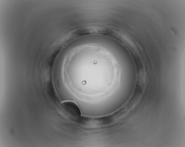 X0000114150413200910151548