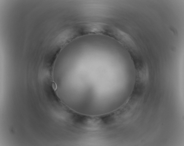 X0000114150415200910151548