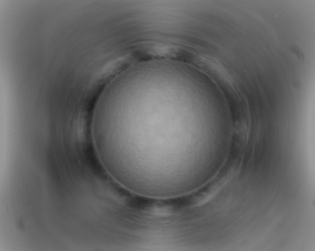 X0000114150416200910151548