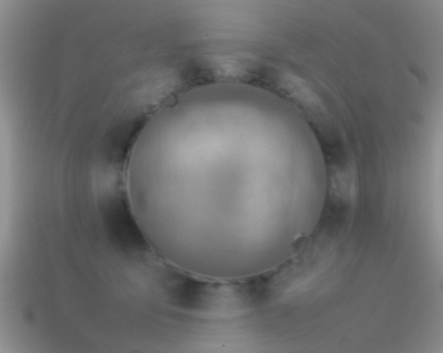X0000114150419200910151548