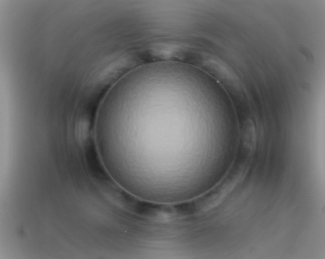 X0000114150420200910151548