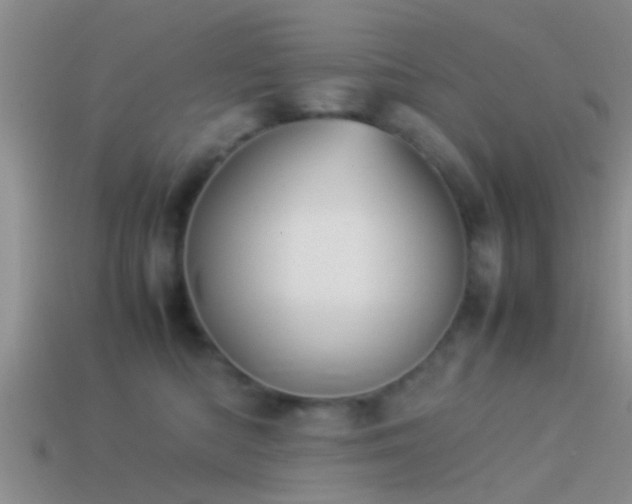 X0000114150422200910151548
