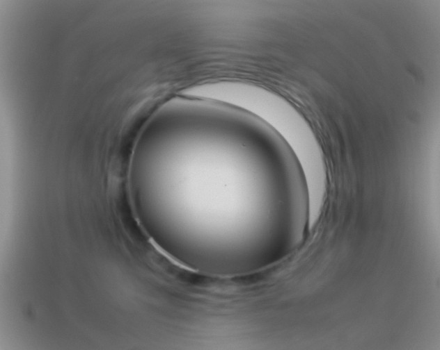X0000114150423200910151548