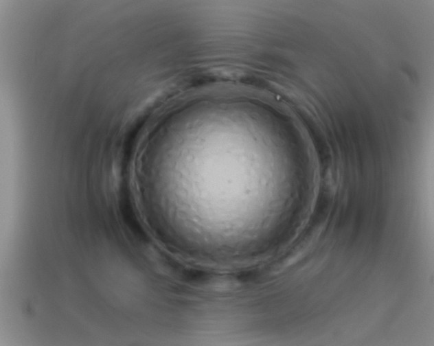 X0000114150424200910151548