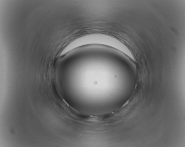 X0000114150425200910151548