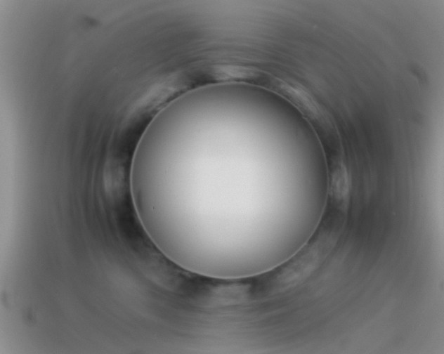 X0000114150426200910151548