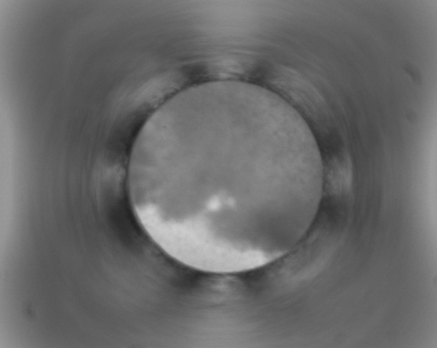 X0000114150427200910151548