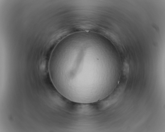 X0000114150428200910151548
