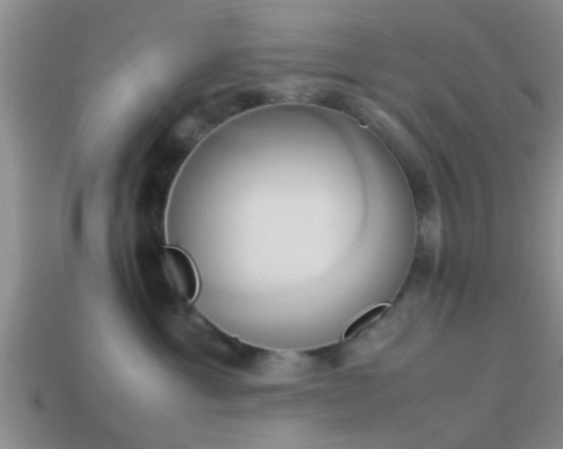 X0000114150429200910151548