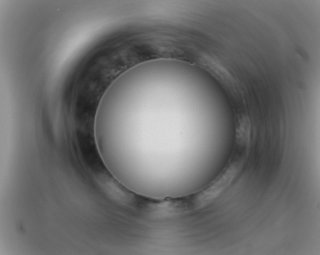 X0000114150430200910151548