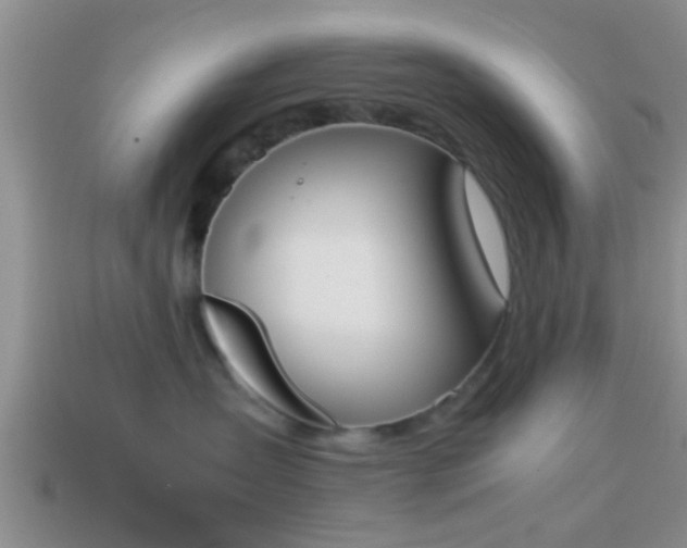 X0000114150431200910151548