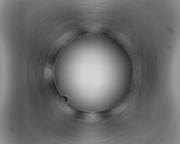 X0000114150432200910151548