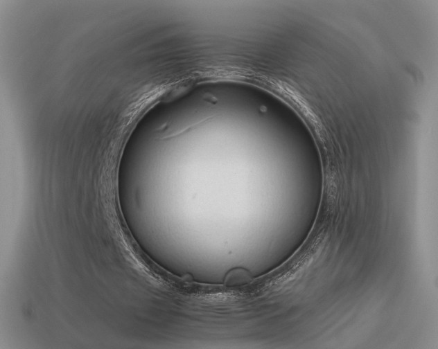 X0000114150433200910151548