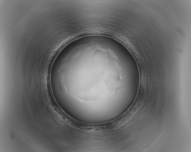 X0000114150434200910151548