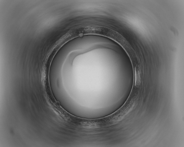 X0000114150435200910151548