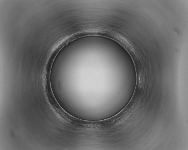 X0000114150436200910151548
