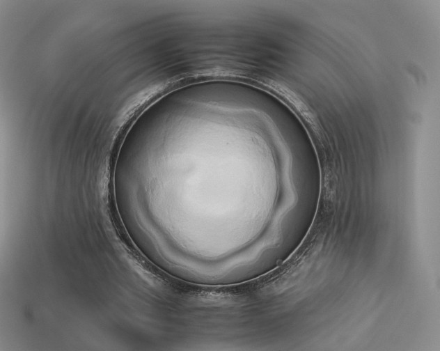 X0000114150437200910151548