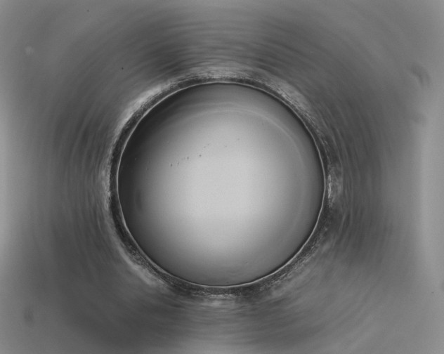 X0000114150438200910151548
