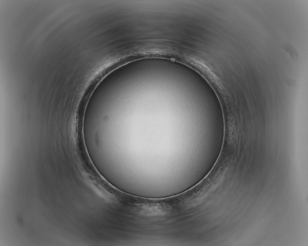 X0000114150439200910151548