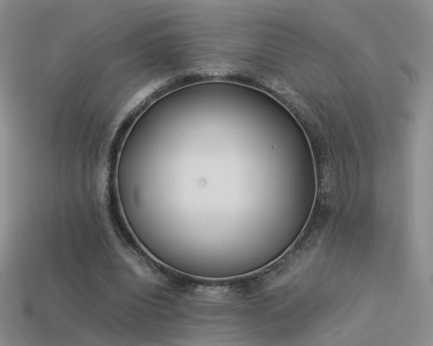 X0000114150440200910151548