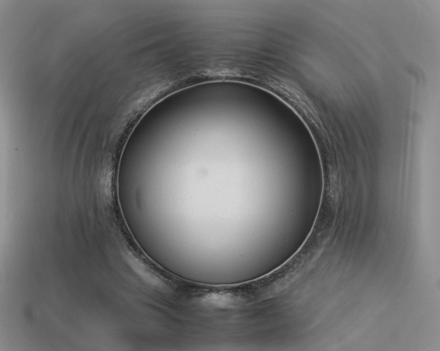 X0000114150441200910151548