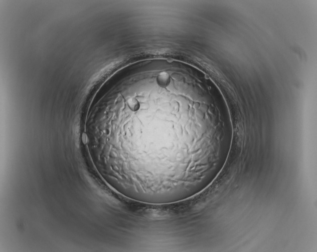 X0000114150442200910151548