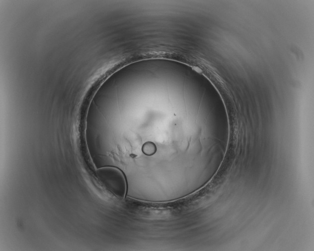 X0000114150443200910151548