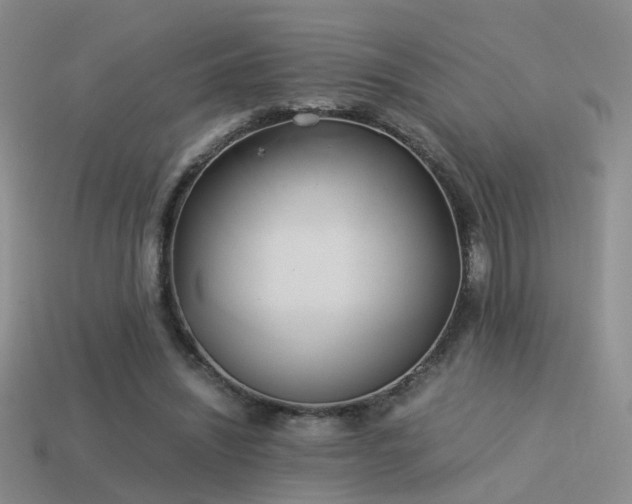 X0000114150444200910151548