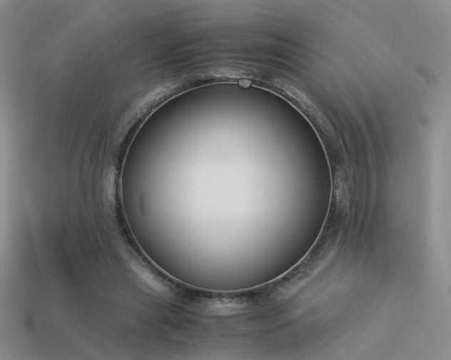 X0000114150445200910151548