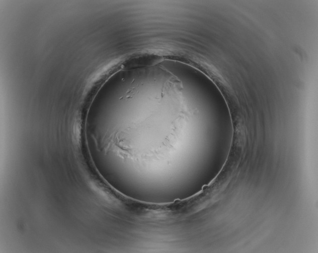 X0000114150446200910151548