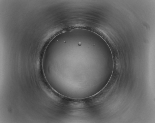 X0000114150447200910151548